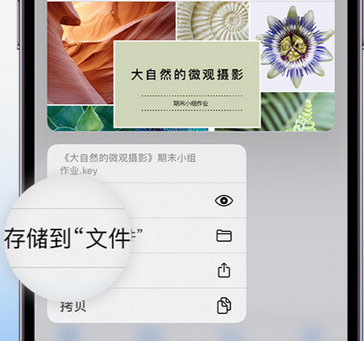 玛曲apple维修中心分享iPhone文件应用中存储和找到下载文件