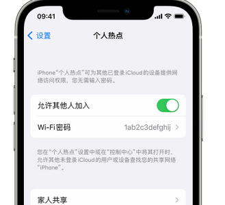 玛曲apple服务站点分享iPhone上个人热点丢失了怎么办 