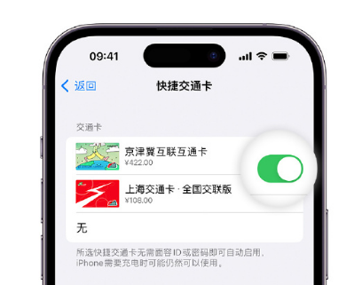 玛曲apple维修点分享iPhone上更换Apple Pay快捷交通卡手绘卡面 