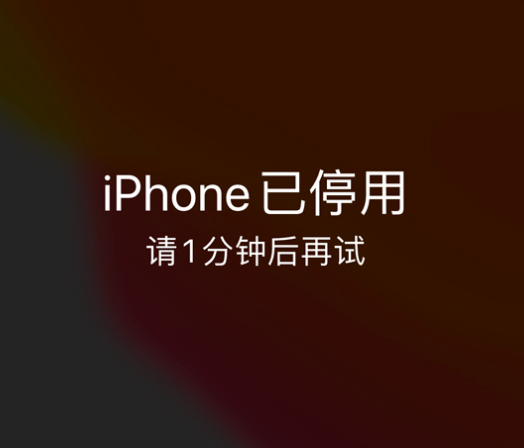 玛曲苹果手机维修分享:iPhone 显示“不可用”或“已停用”怎么办？还能保留数据吗？ 