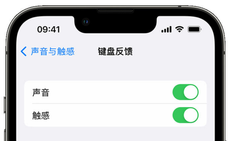 玛曲苹果手机维修分享iPhone 14触感键盘使用方法 