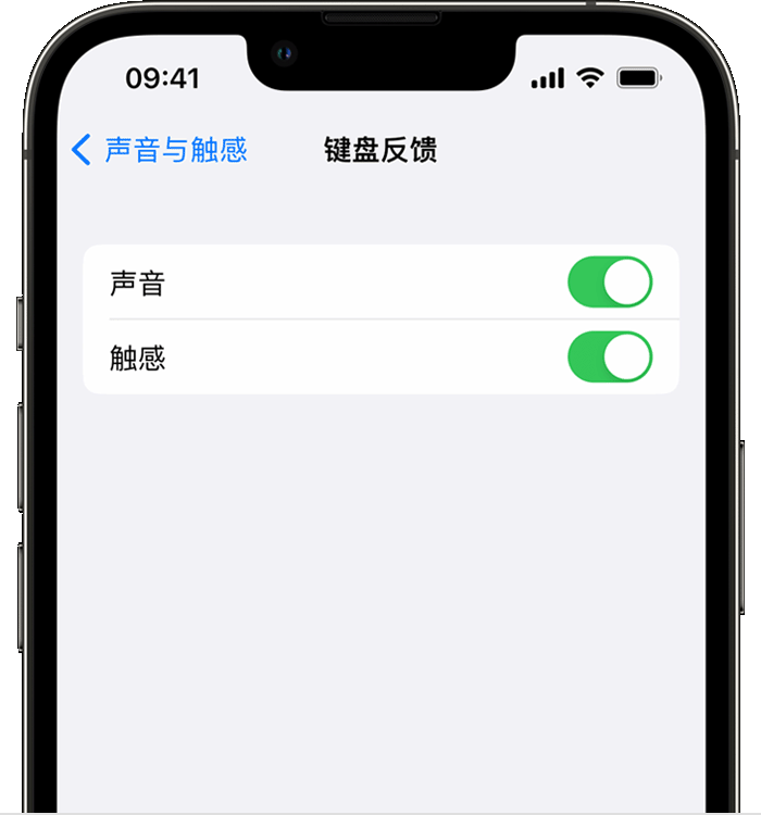 玛曲苹果14维修店分享如何在 iPhone 14 机型中使用触感键盘 