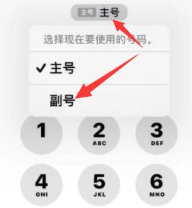 玛曲苹果14维修店分享iPhone 14 Pro Max使用副卡打电话的方法 