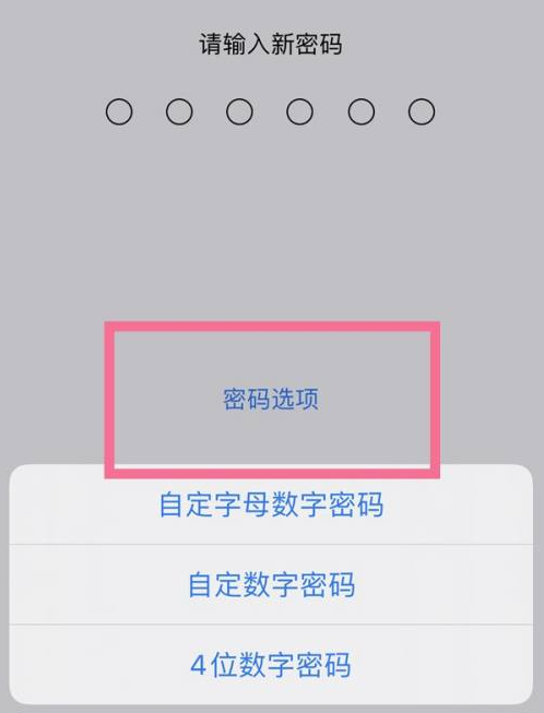 玛曲苹果14维修分享iPhone 14plus设置密码的方法 