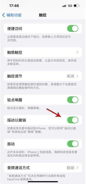 玛曲苹果手机维修分享iPhone手机如何设置摇一摇删除文字 